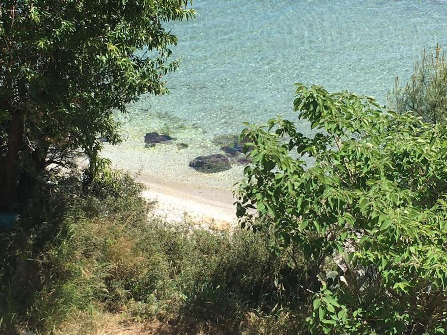 Apartamento T3 Les Pieds Dans L'Eau Istres Exterior foto